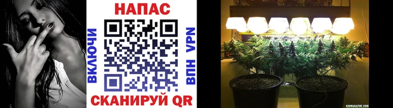 OMG зеркало что такое Калтан Канабис сатива
